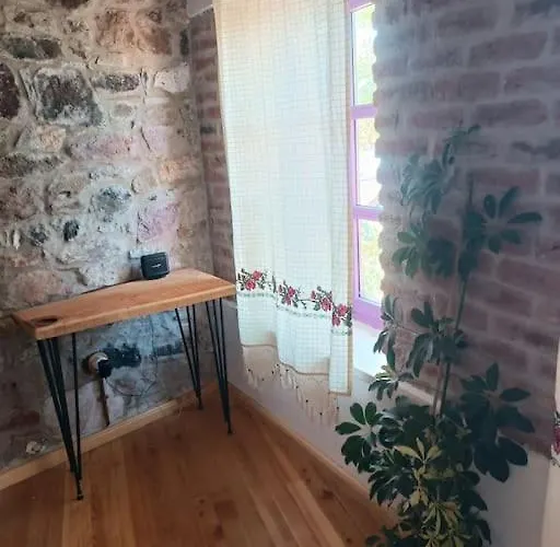 Hébergement de vacances Tarihi Restore Edilmis Evi Ayvalı